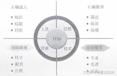 信息系統(tǒng)集成及服務(wù)管理 系統(tǒng)集成項目管理工程師的視角
